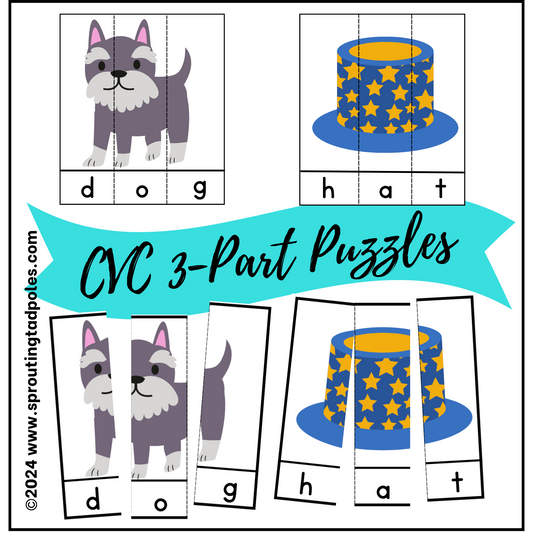 CVC 3-Letter Word Puzzles Busy Bag