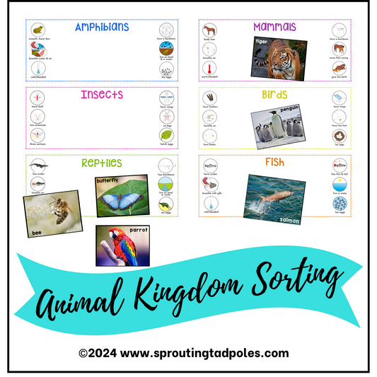 Animal Kingdom Classification Activity