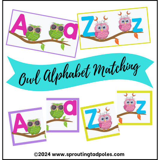 Alphabet Owls Letter Matching Busy Bag