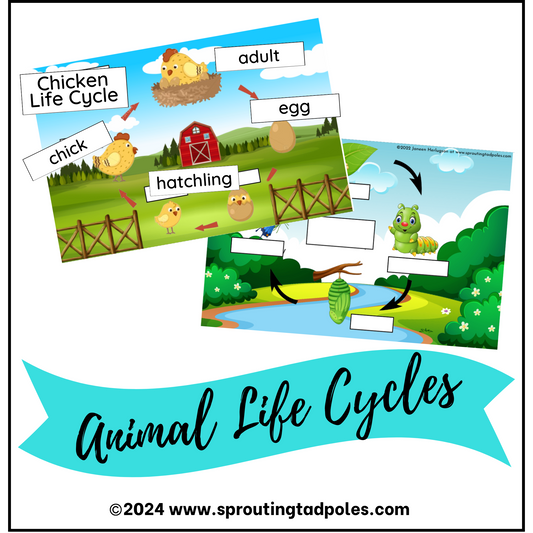 Animal Life Cycles Activity Game