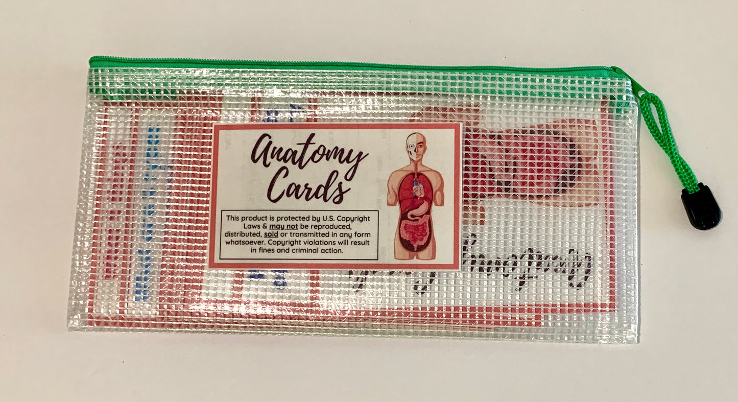 Science Facts Mastery Memory Cards - PHYSICAL & DIGITAL VERSION