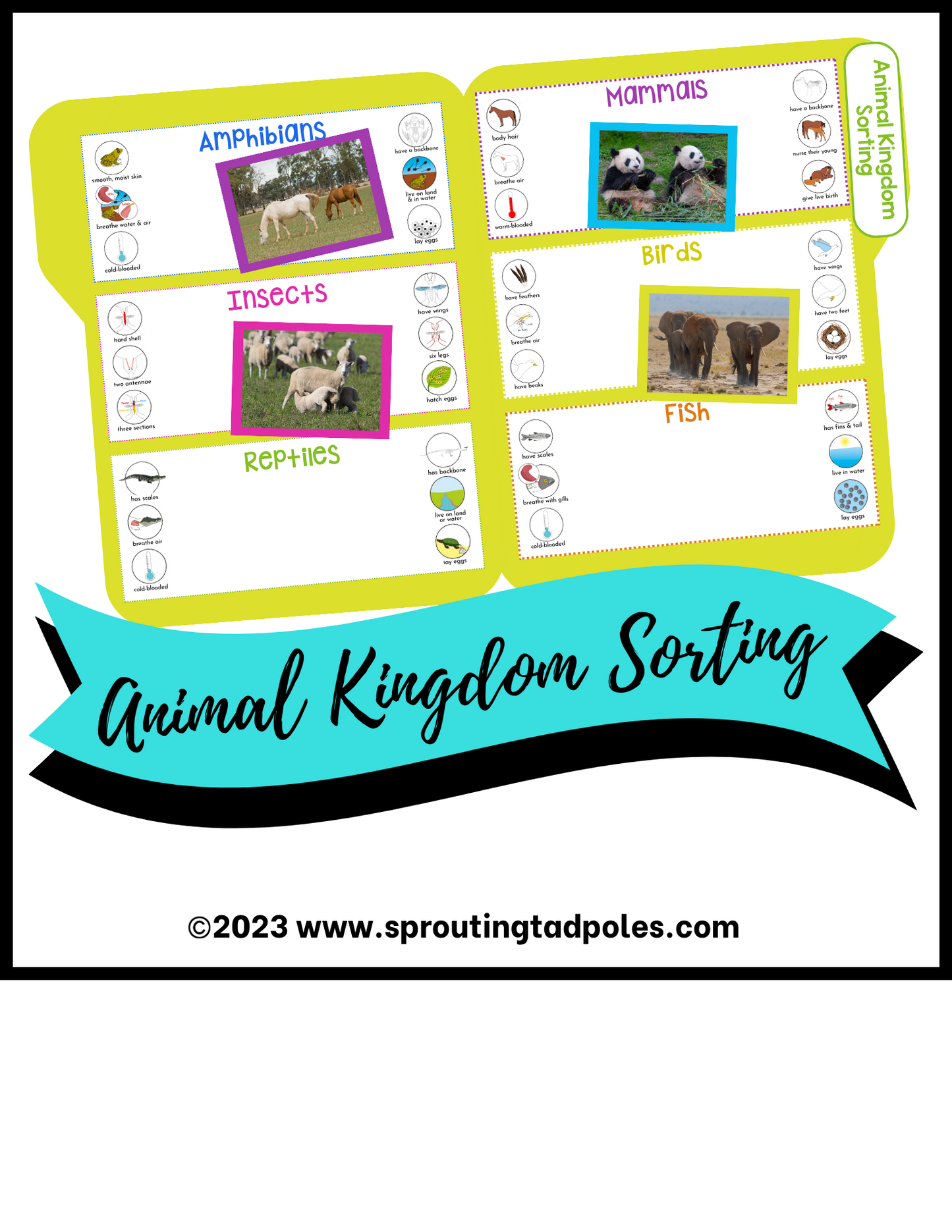 Animal Kingdom Sorting Game