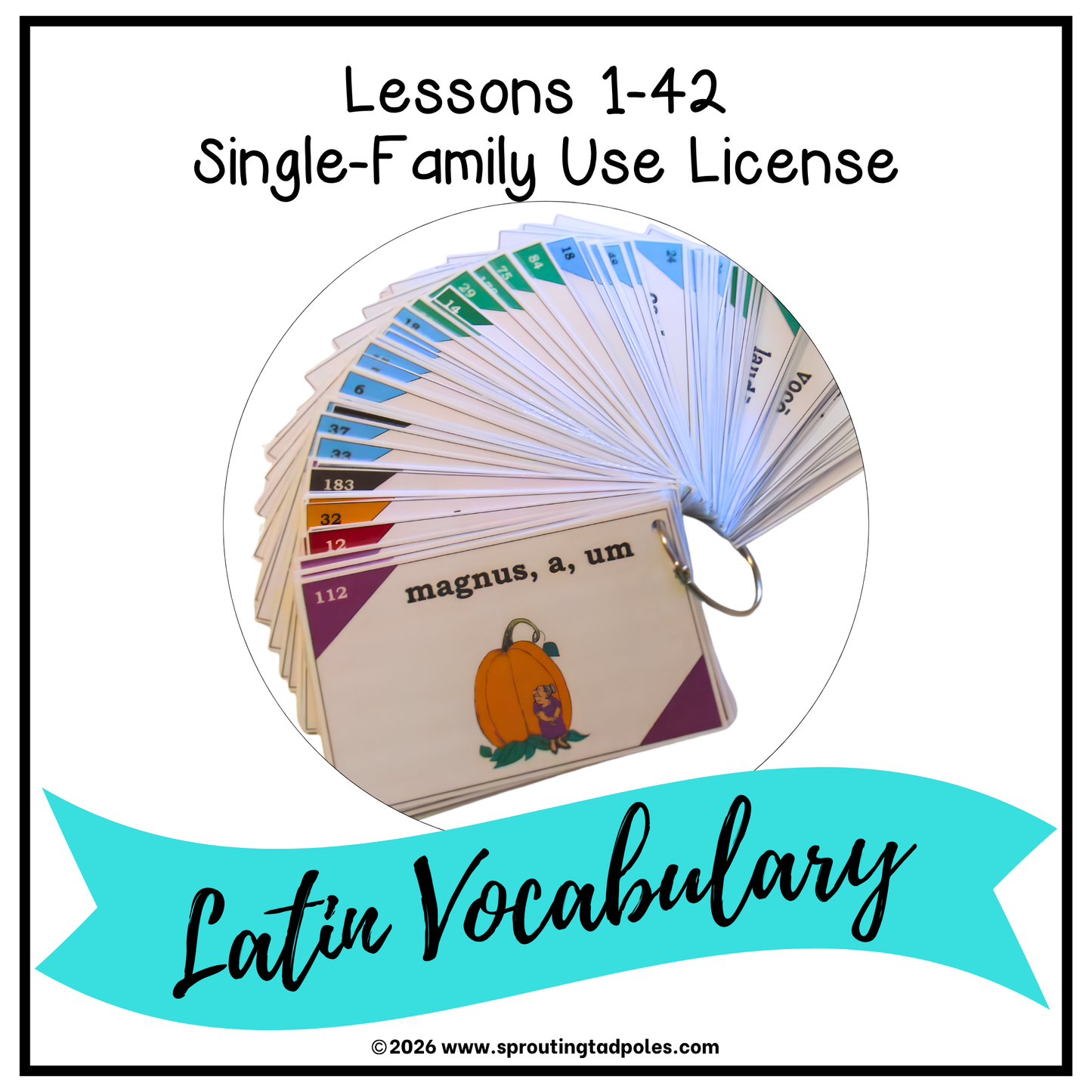 Latin Vocabulary Flash Cards