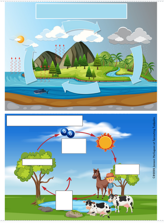 Cycles of Nature Science Activity