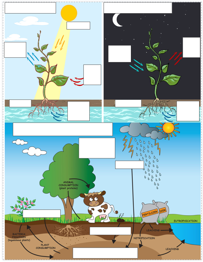 Cycles of Nature Science Activity