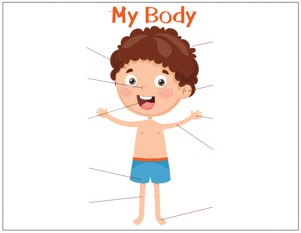 My Body, My Organs Activity Pack