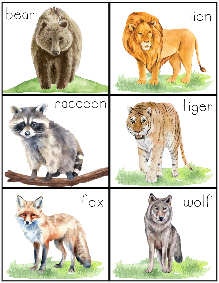 Animal Exploration Activity Packs - Farm, Wild, or Aquatic - PHYSICAL & DIGITAL VERSION