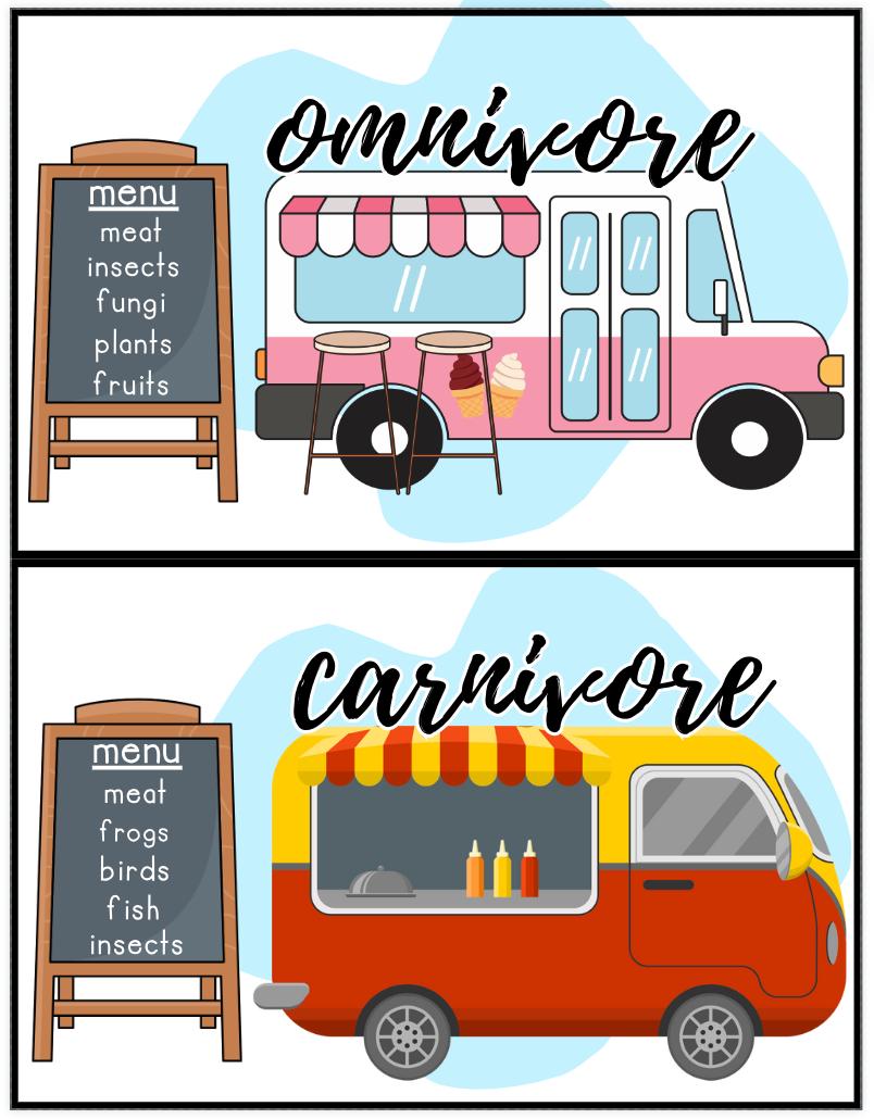 What Do I Eat? Herbivore, Omnivore, Carnivore Sorting - PHYSICAL & DIGITAL VERSION