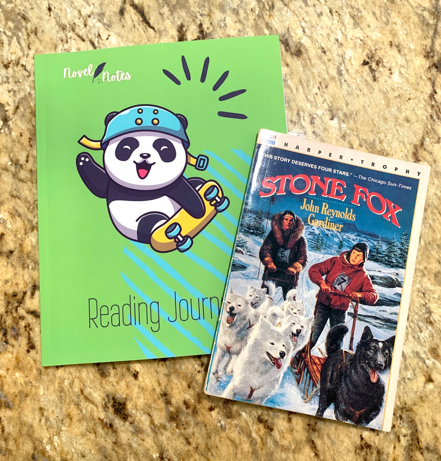 Novel Notes Reading Journal Ages 8-12