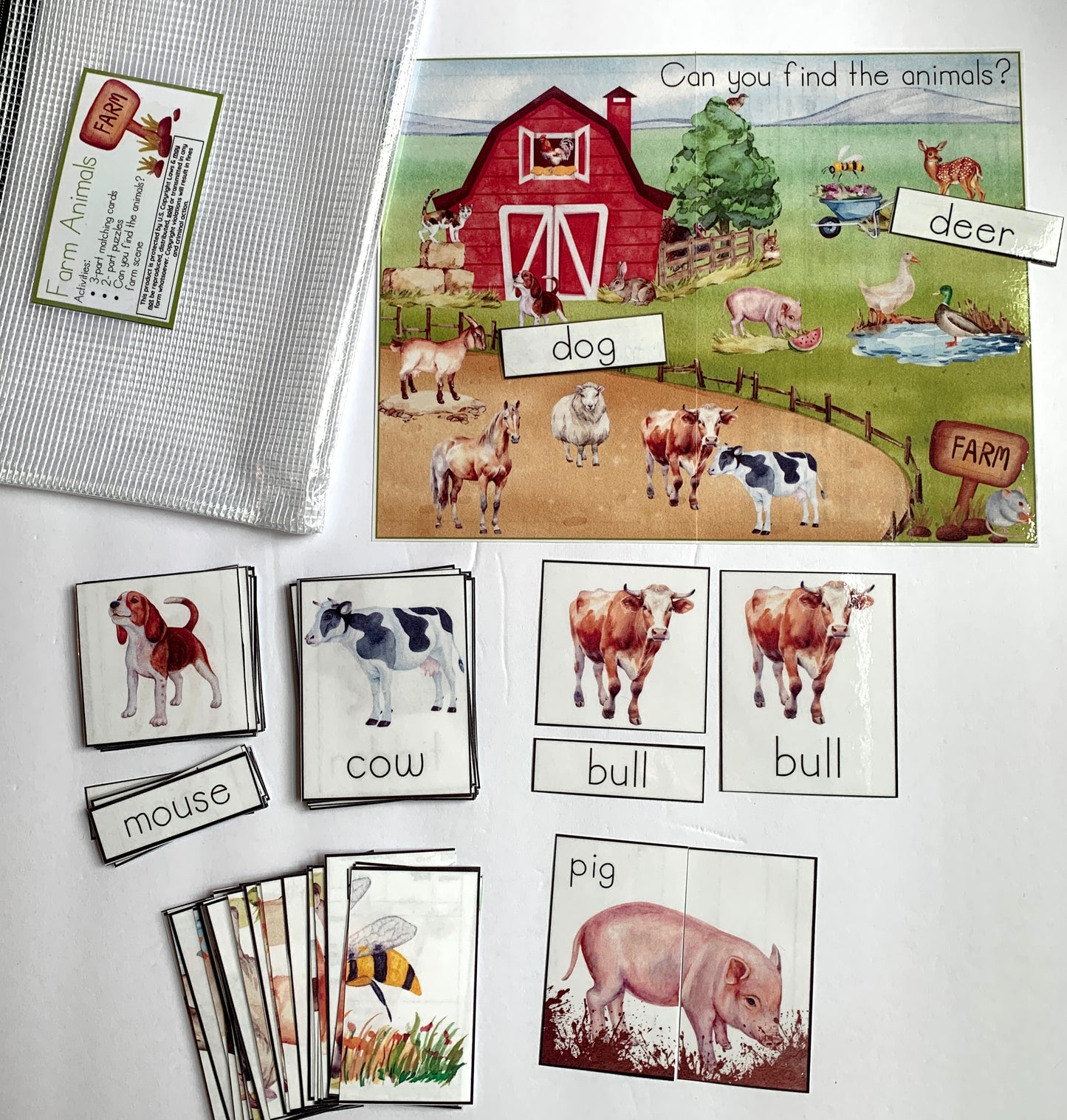 Animal Exploration Activity Packs - Farm, Wild, or Aquatic - PHYSICAL & DIGITAL VERSION