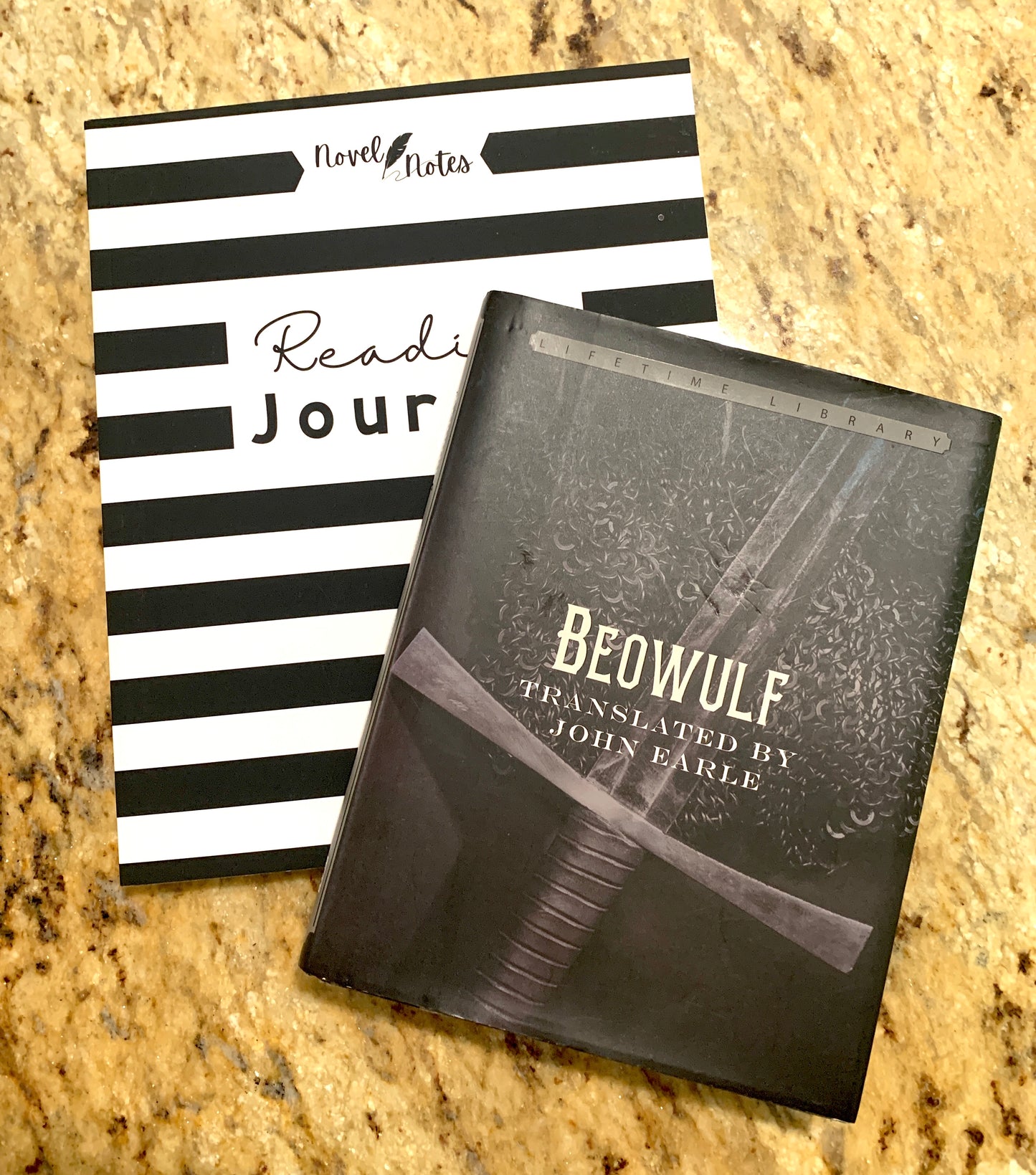 Novel Notes Reading Journal Ages 14+ High School