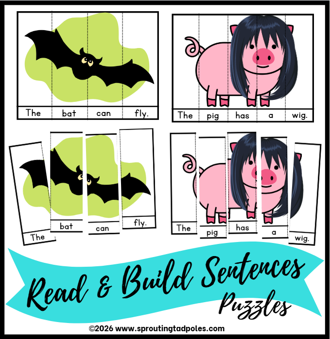 Read & Build Simple Sentences Puzzles
