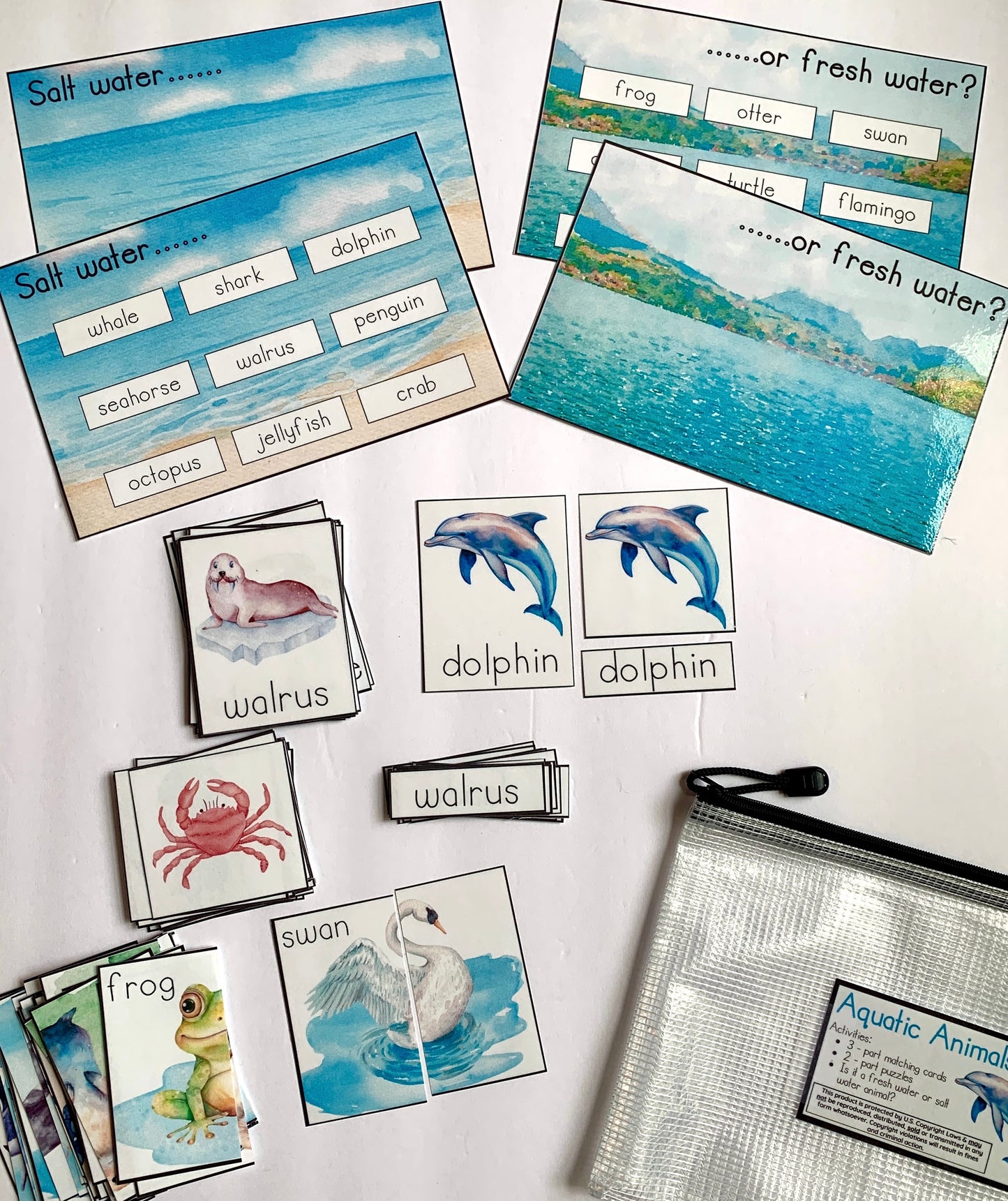 Animal Exploration Activity Packs - Farm, Wild, or Aquatic - PHYSICAL & DIGITAL VERSION