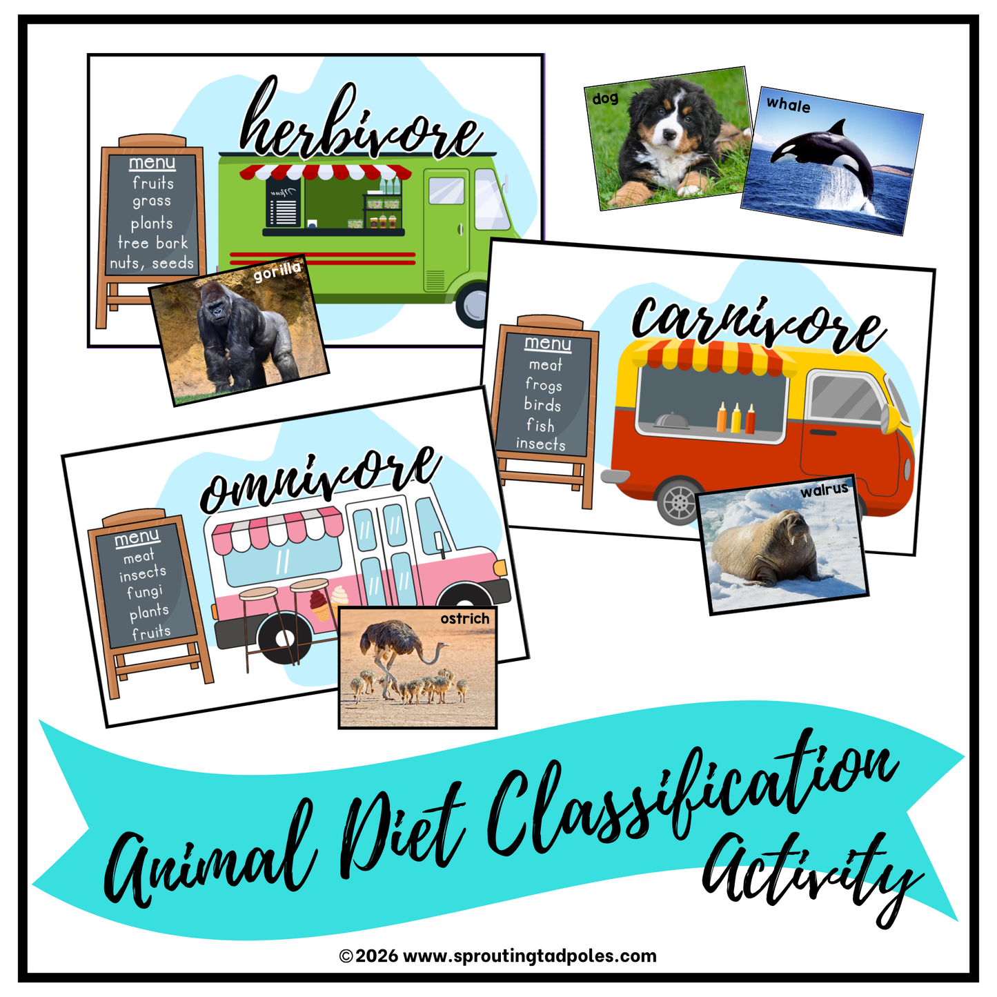 What Do I Eat? Animal Diet Classification Activity