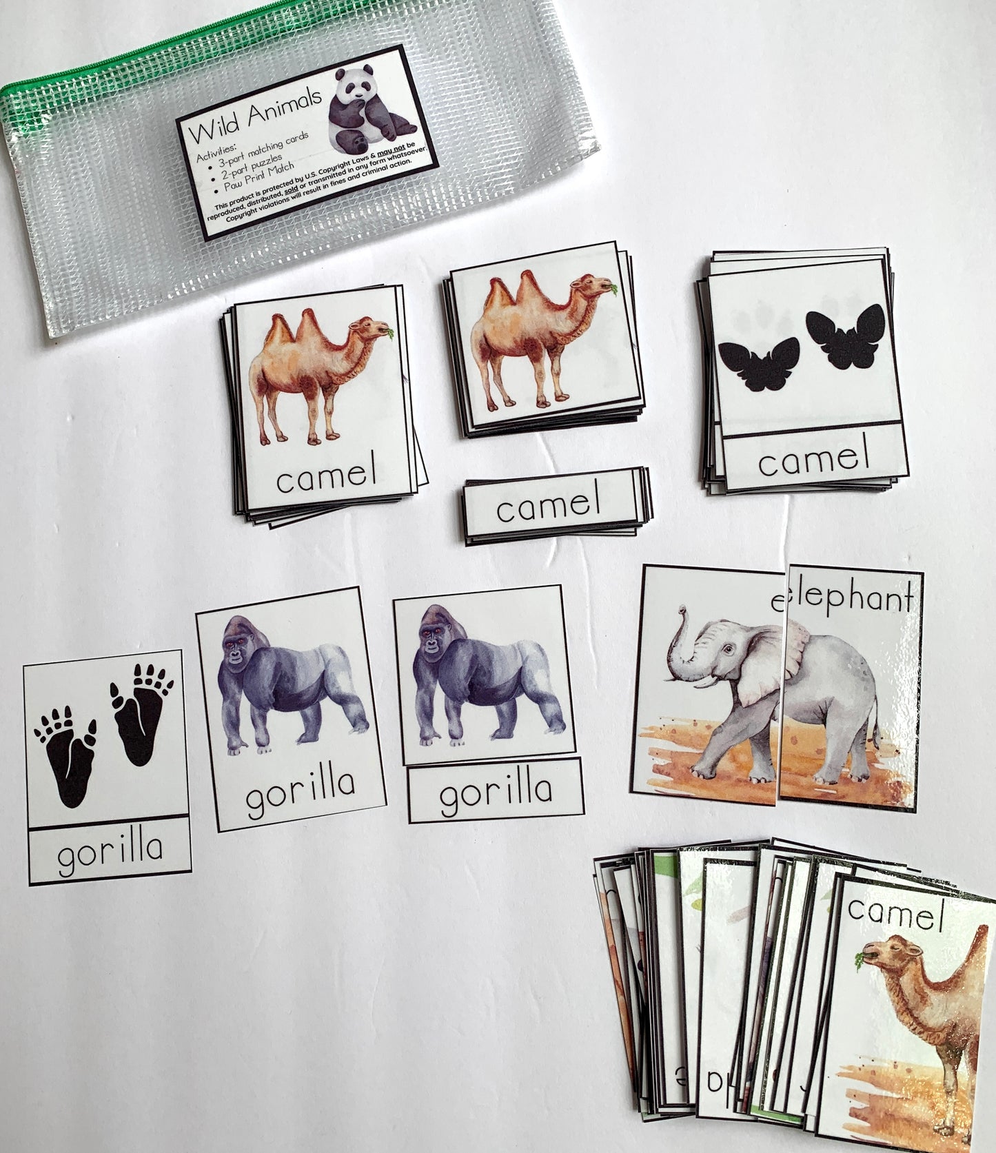 Animal Exploration Activity Packs - Farm, Wild, or Aquatic - PHYSICAL & DIGITAL VERSION