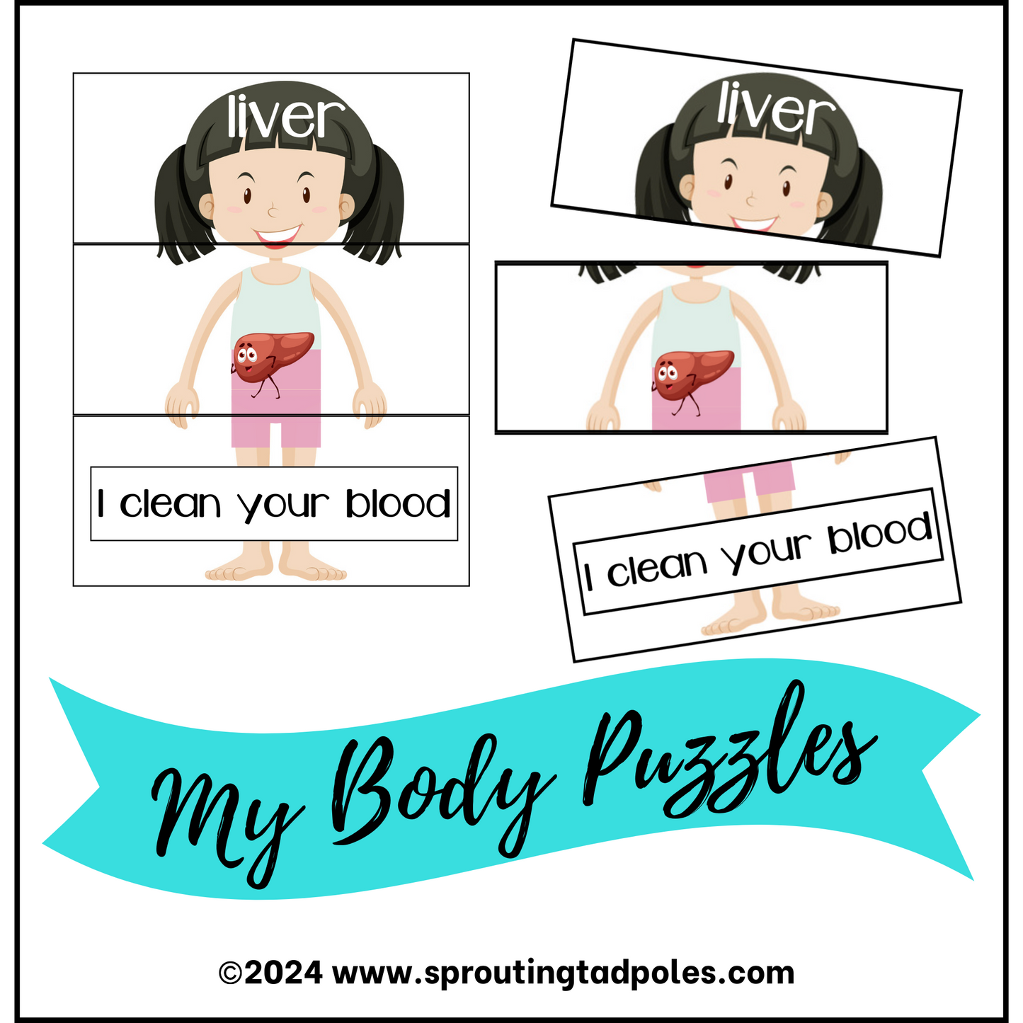 BuildABody (Large Size) PHYSICAL & DIGITAL VERSION Sprouting Tadpoles