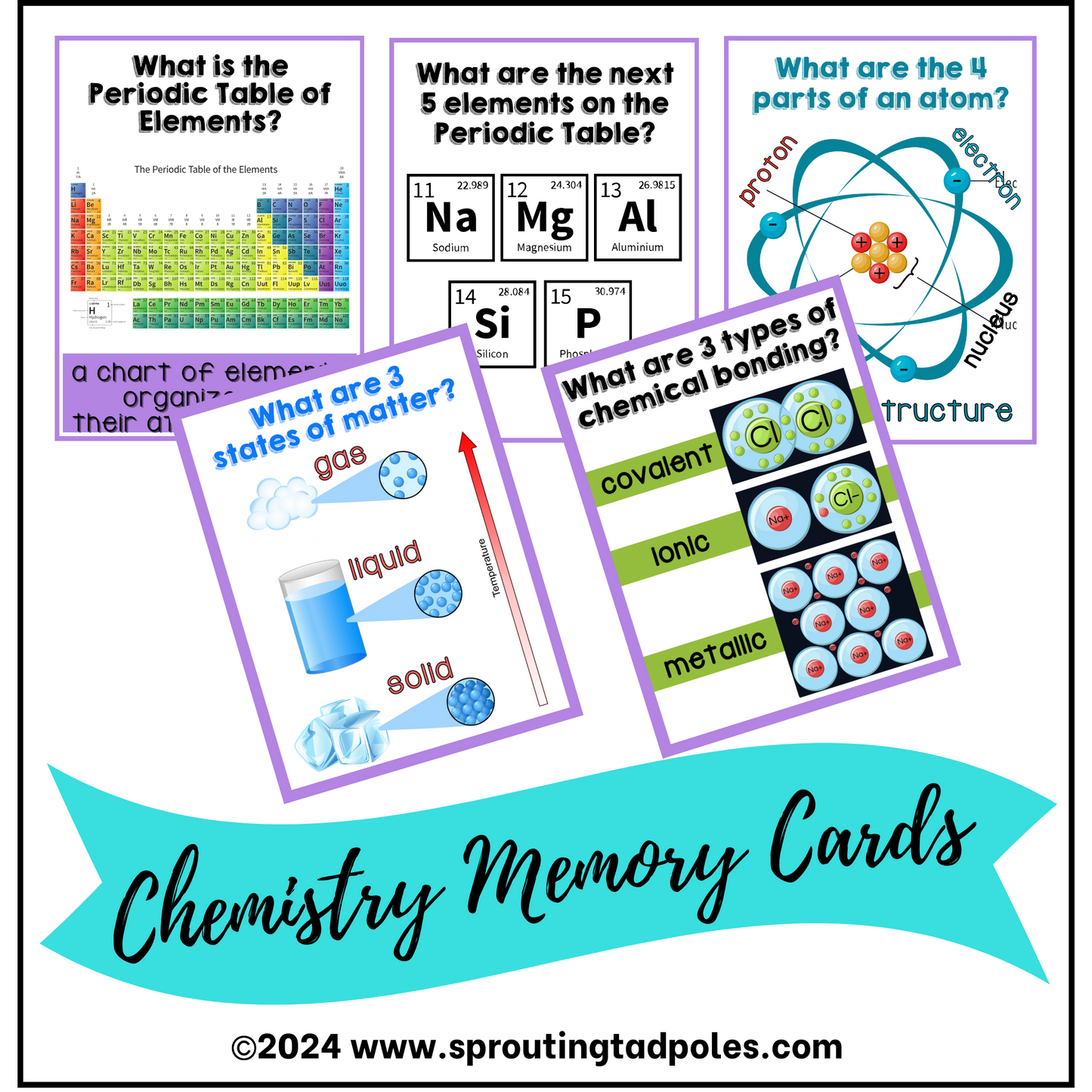 Science Facts Mastery Memory Cards