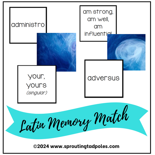 Latin Vocabulary Memory Match Game