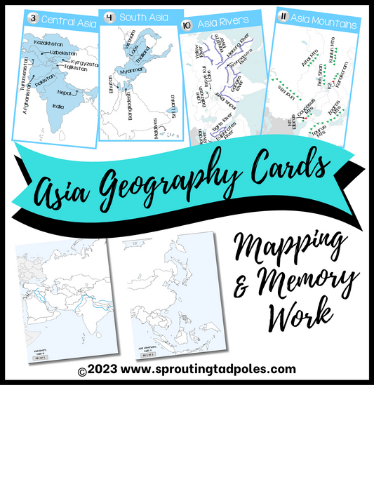 Asia Mapping & Memory Cards