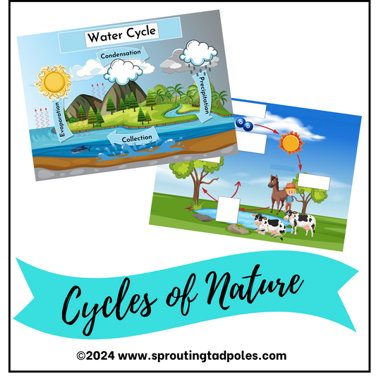 Cycles of Nature Science Activity