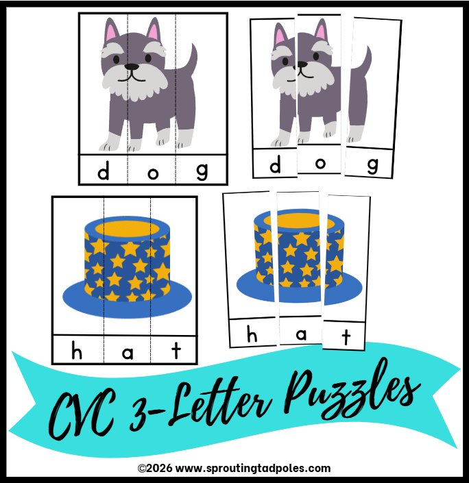 CVC 3-Letter Word Puzzles