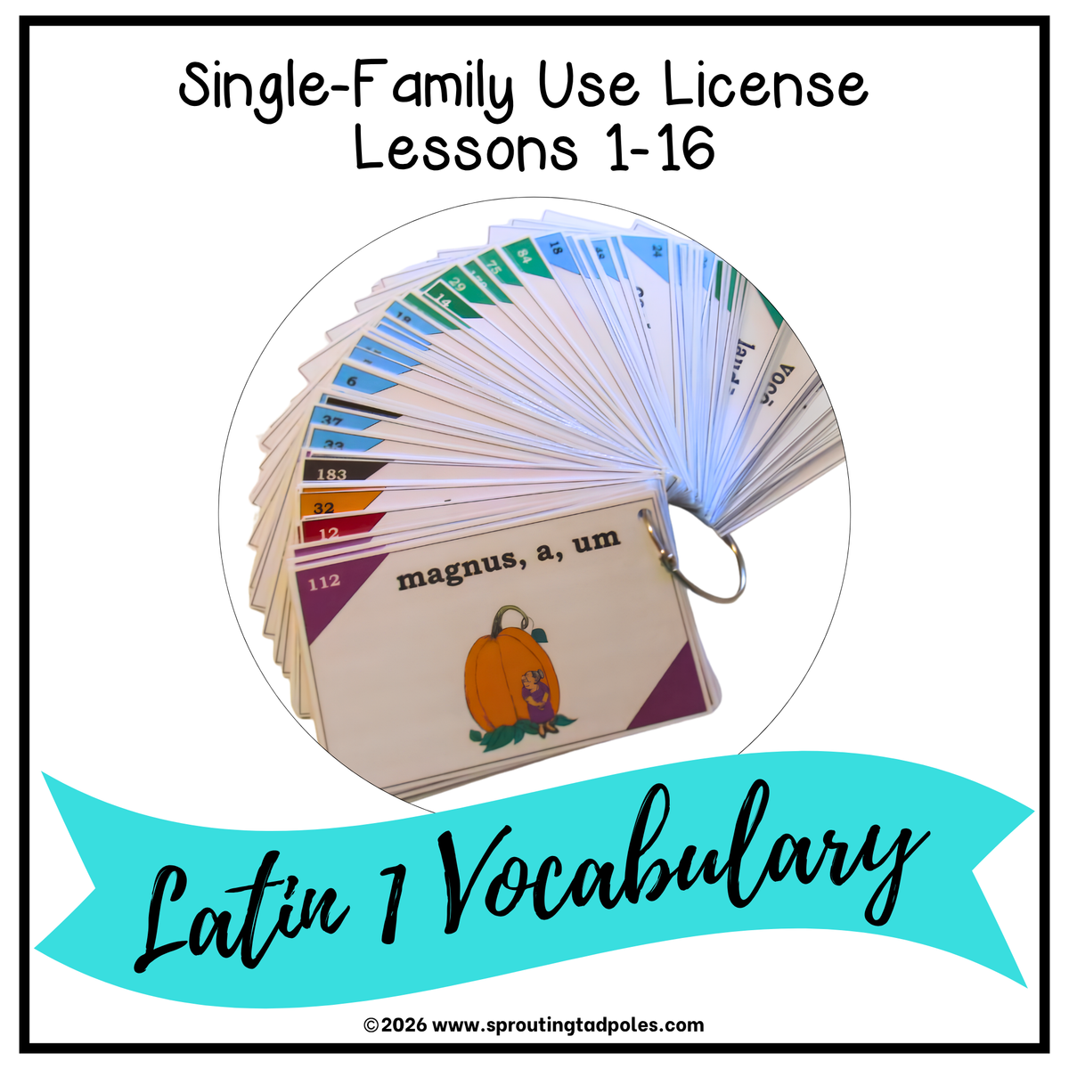 Latin 1 Vocabulary Flashcards