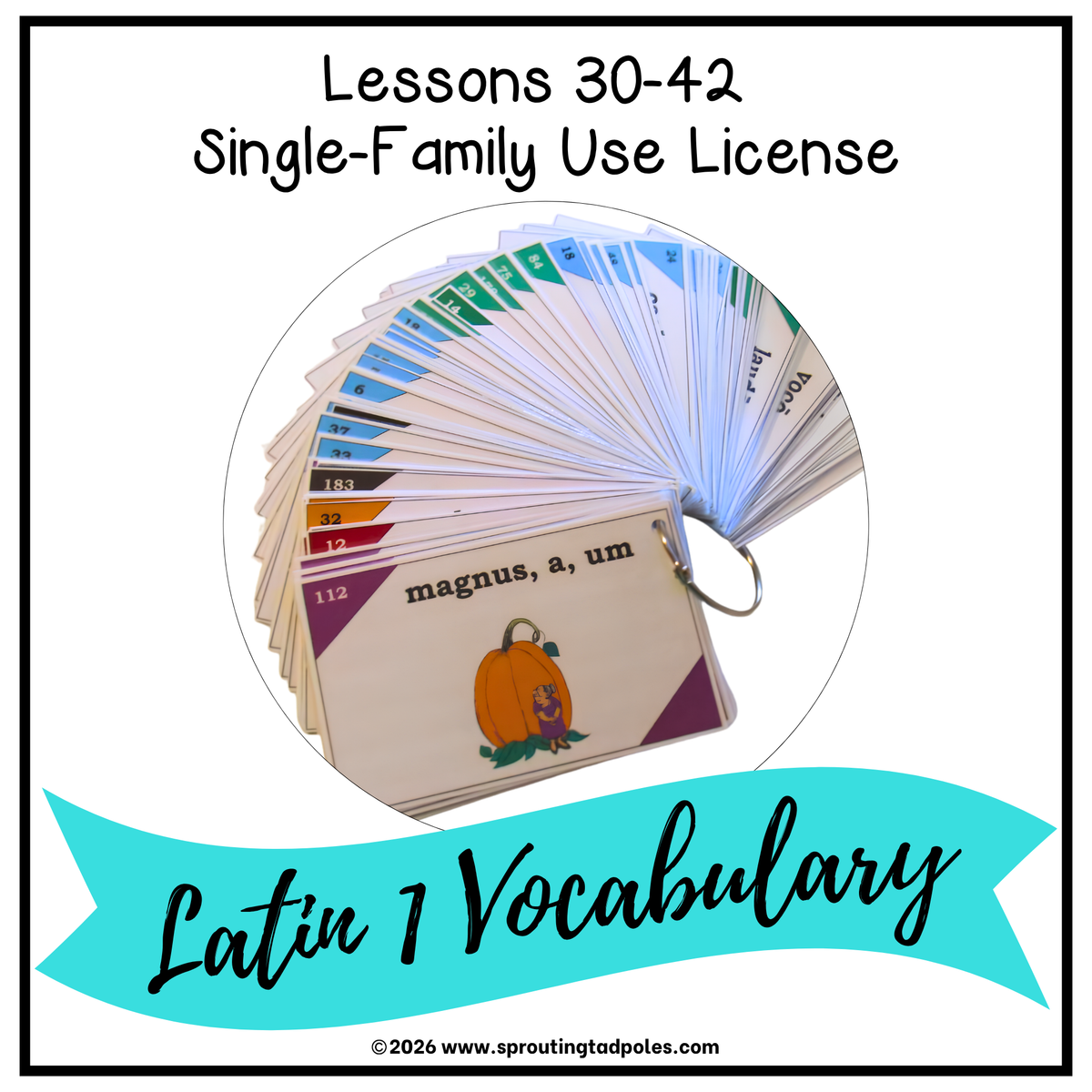 Latin 1 Vocabulary Flashcards