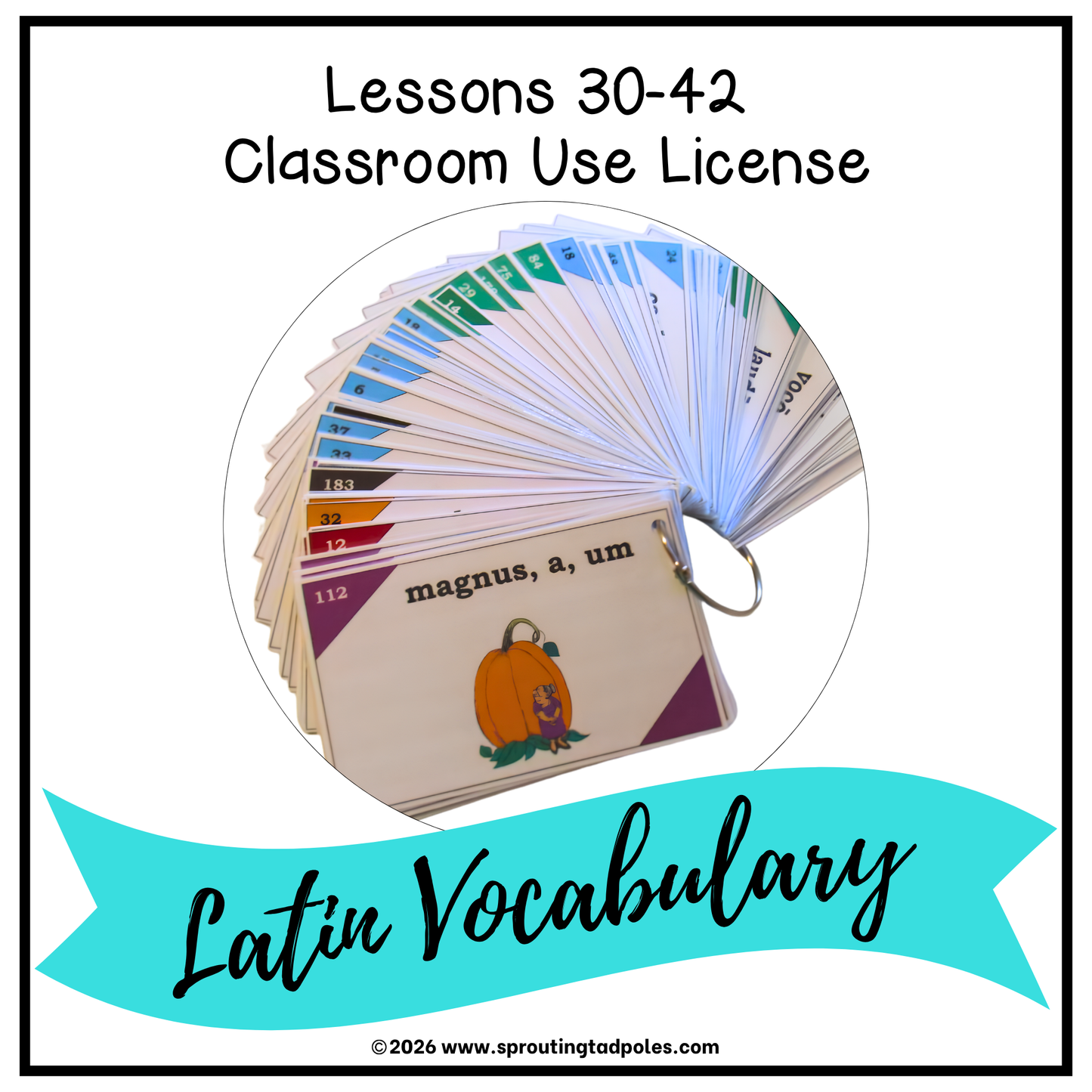 Latin Vocabulary Flash Cards