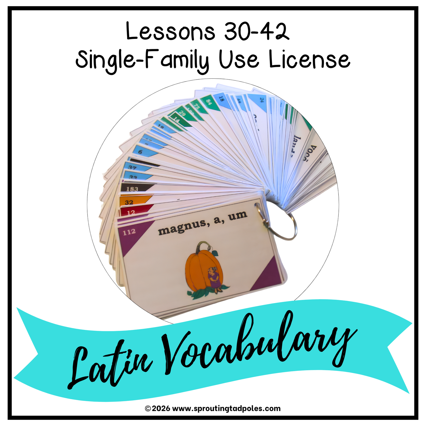 Latin Vocabulary Flash Cards