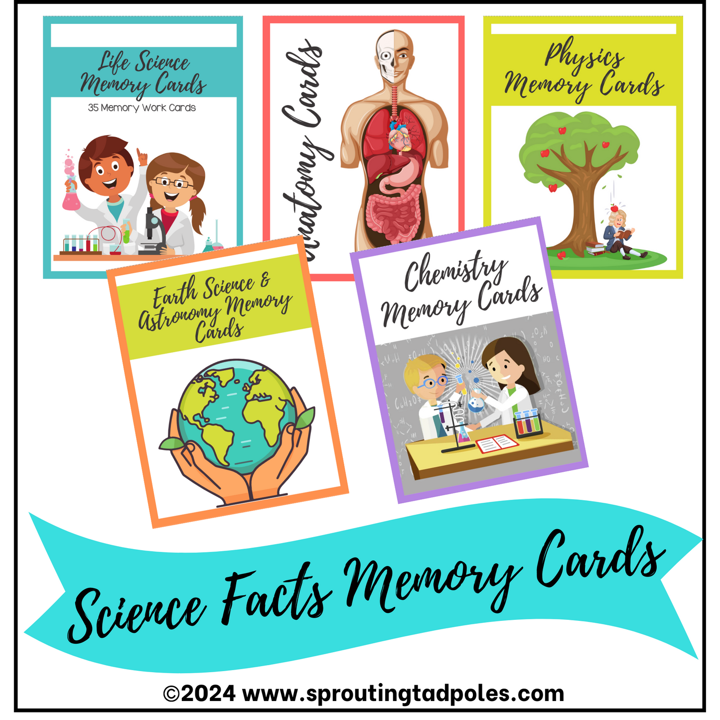 Science Facts Mastery Memory Cards