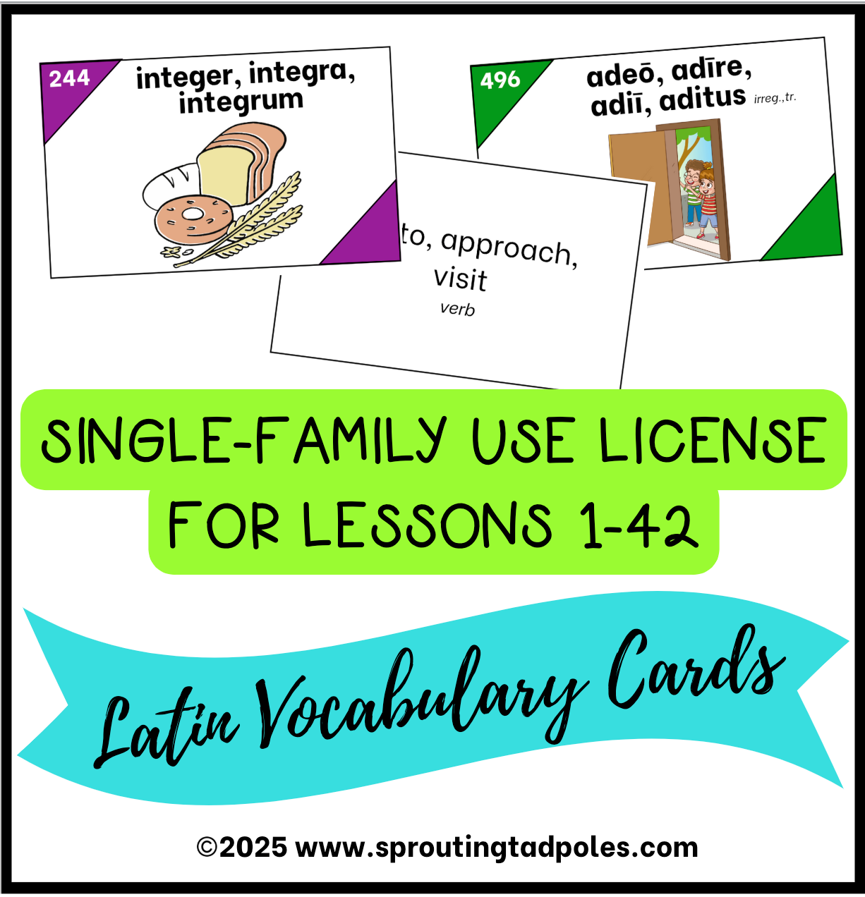 Latin Vocabulary Cards