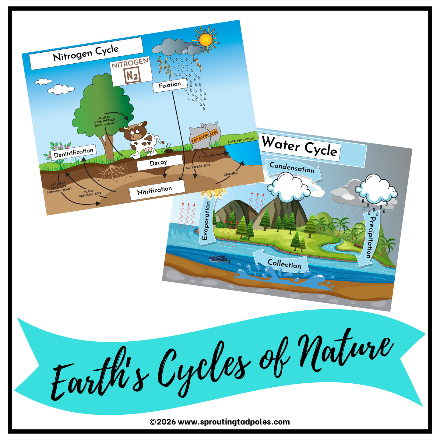 Earth's Cycles of Nature Activity