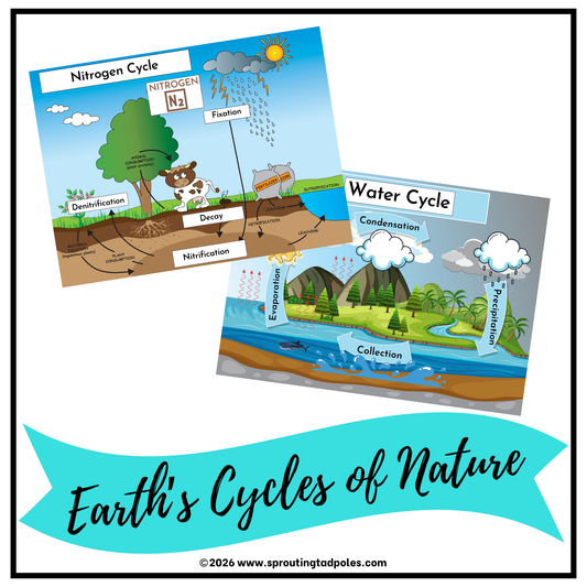 Earth's Cycles of Nature Activity