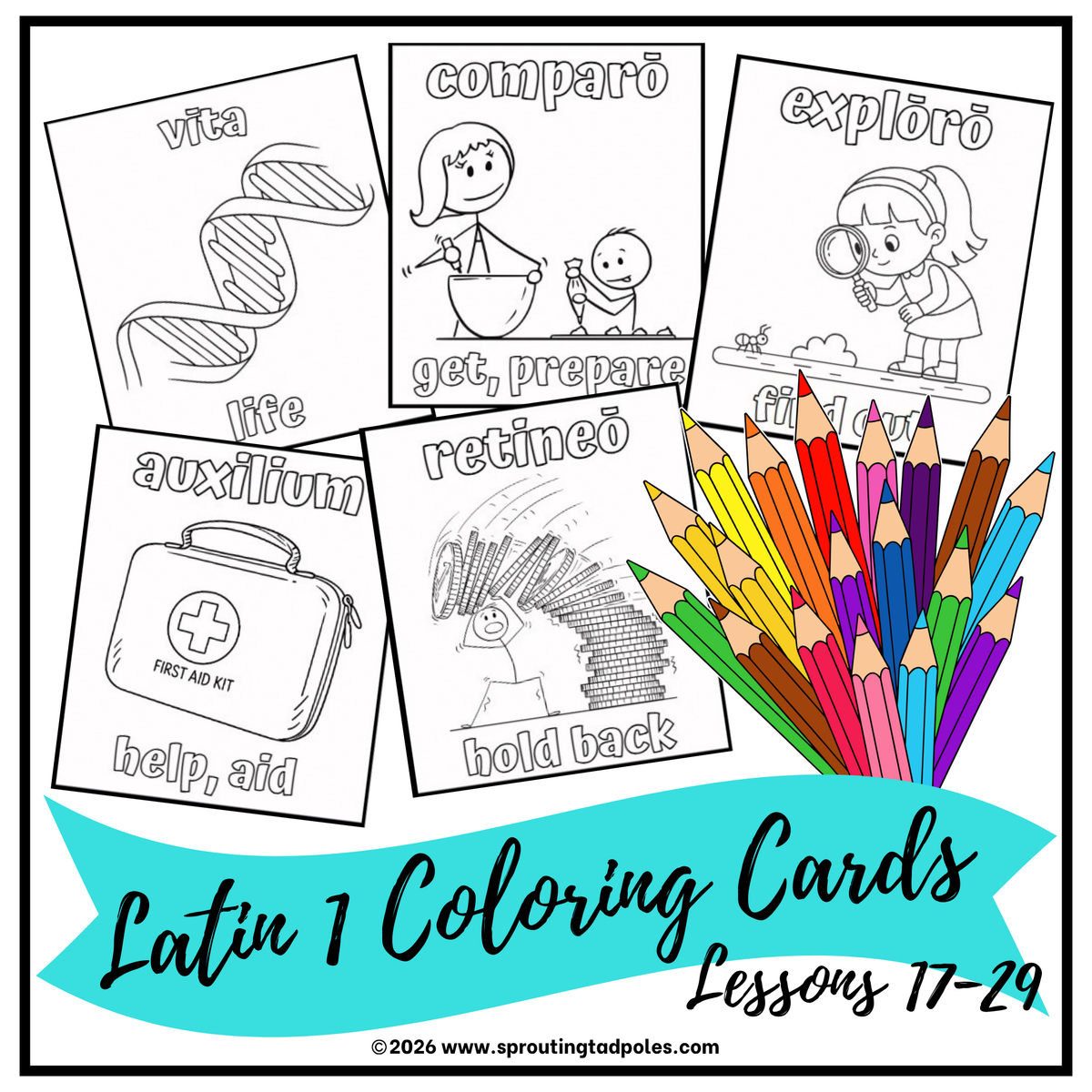 Collection of 5 illustrated Latin vocabulary coloring cards for creative, hands-on learning featuring illustrated vocabulary words for homeschool Latin learning.
