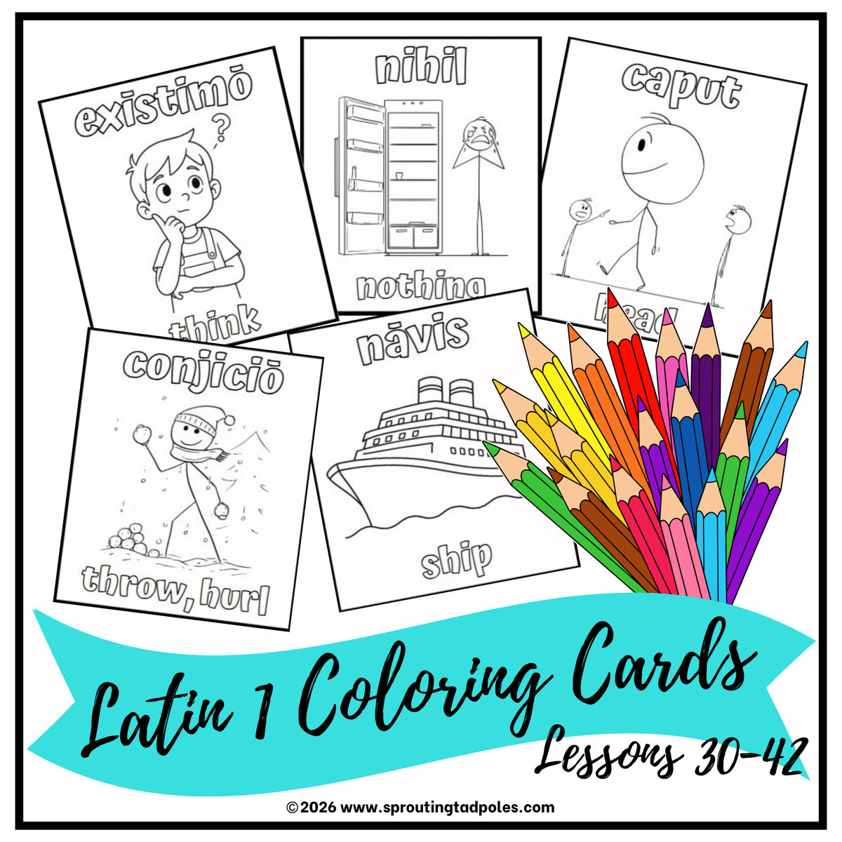 Collection of 5 illustrated Latin vocabulary coloring cards for creative, hands-on learning featuring illustrated vocabulary words for homeschool Latin learning.