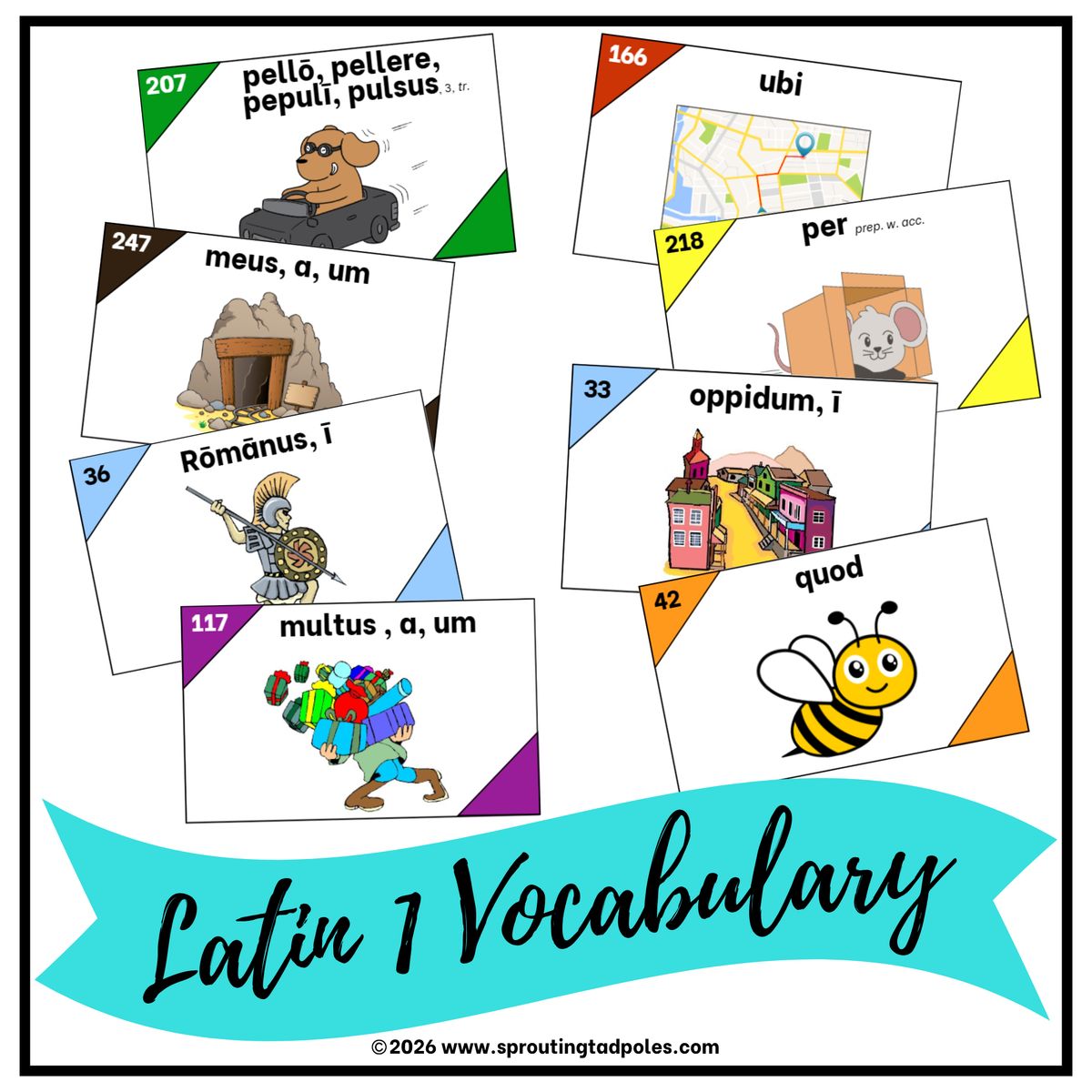 Latin 1 Vocabulary Flashcards