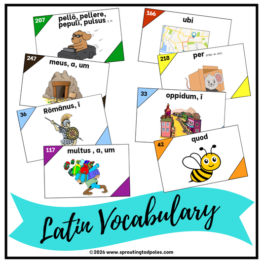 Latin Vocabulary Flash Cards
