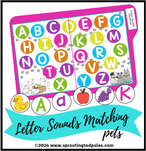 Letter Sounds Matching File Folder Game