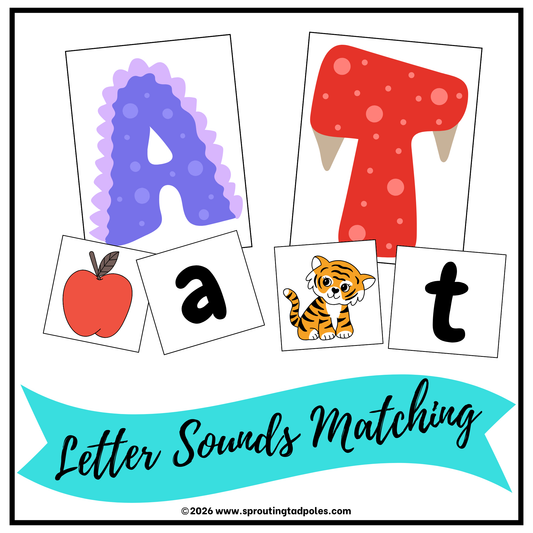 Letter Sounds Matching Activity Bag