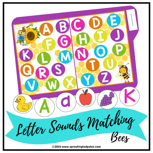 Letter Sounds Matching File Folder Game