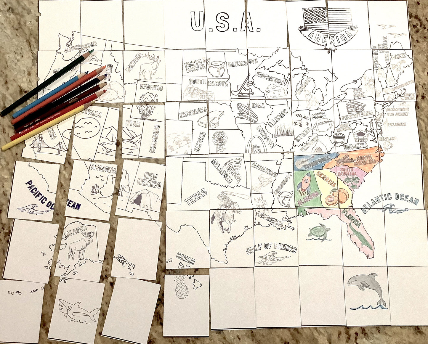 USA 54-PC Map Coloring Puzzle - PHYSICAL & DIGITAL VERSION