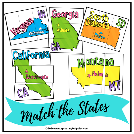 Match the States Puzzles