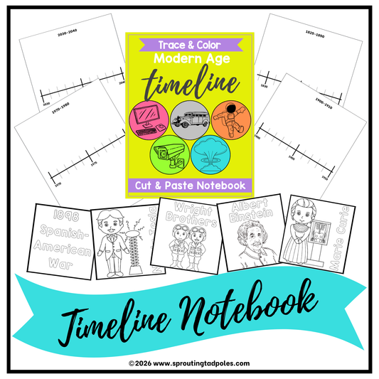 History Timeline Notebook - Modern Age