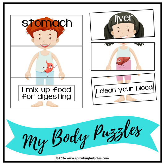My Body Puzzles