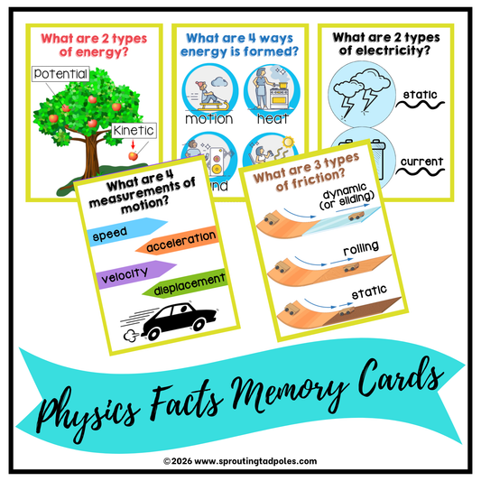 Physics Science Facts Memory Cards