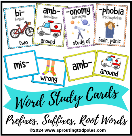 Prefix, Suffix, & Root Word Flashcards