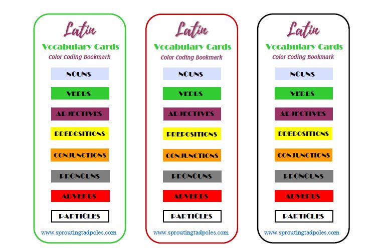 Latin Vocabulary Terms Flashcards